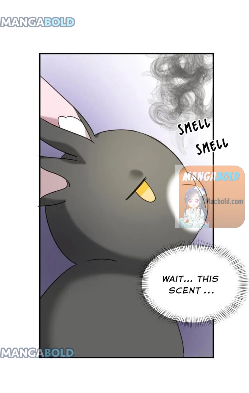 The Fake Princess’ OP Bunny chapter 47 - page 52