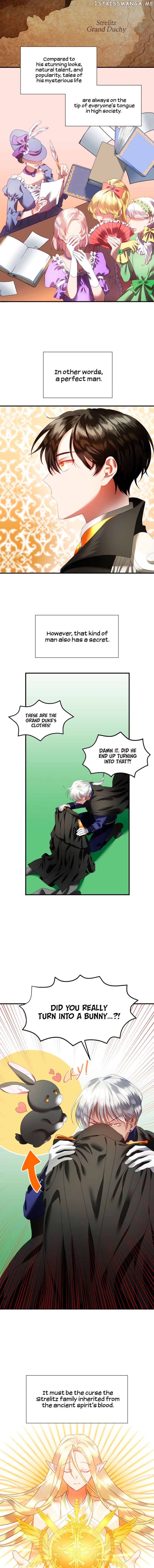 The Fake Princess’ OP Bunny chapter 2 - page 4