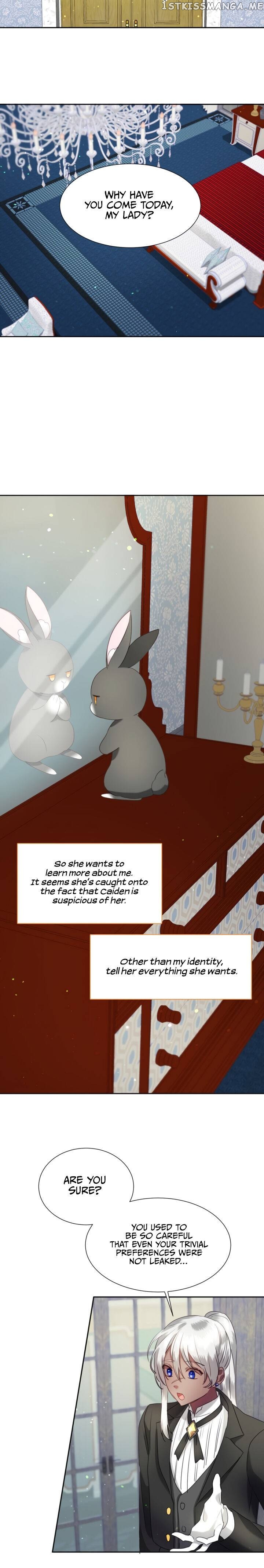 The Fake Princess’ OP Bunny chapter 19 - page 9