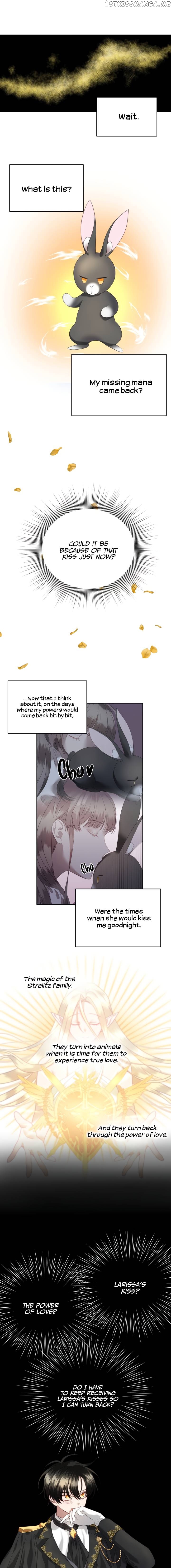 The Fake Princess’ OP Bunny chapter 9 - page 6