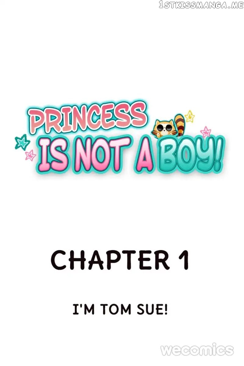 Princess Is Not a Boy chapter 1 - page 1