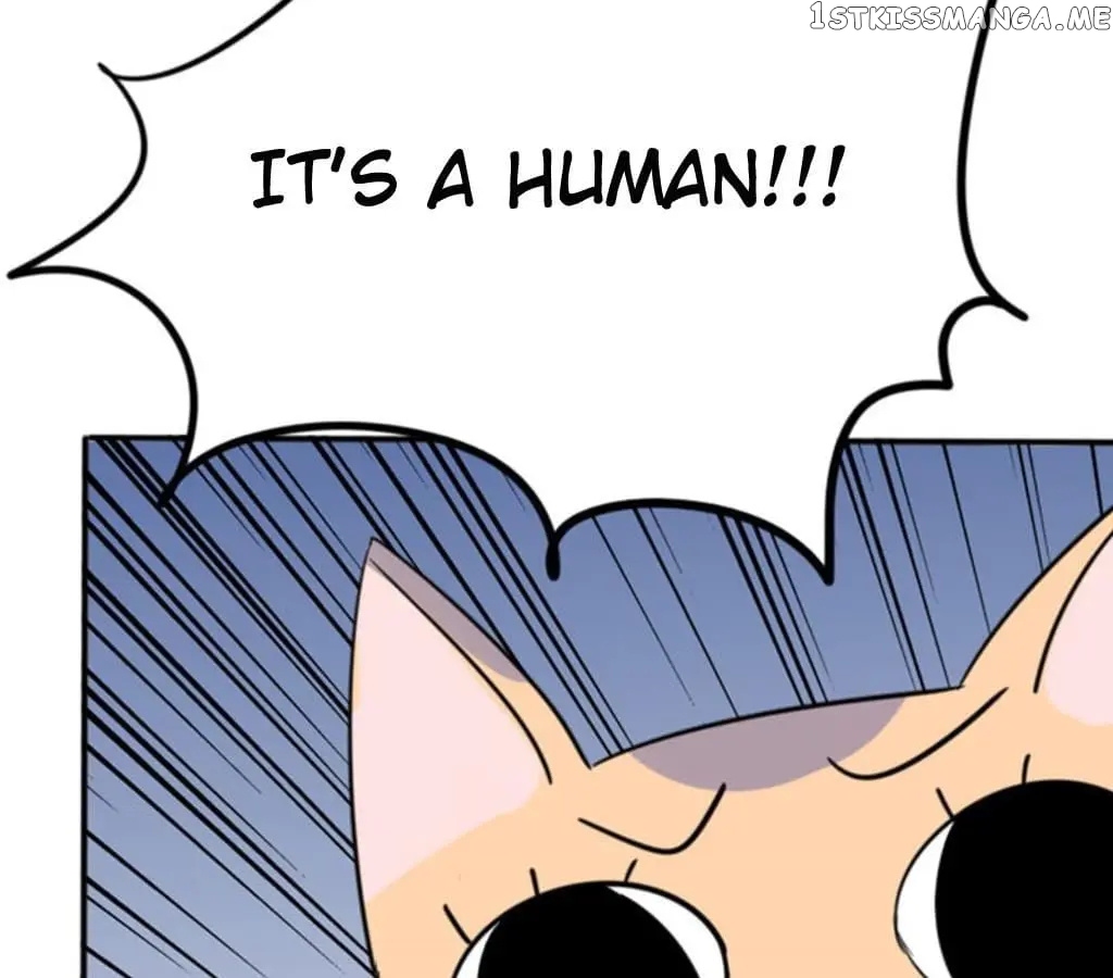 Ceo X Otaku Girl chapter 24 - page 15