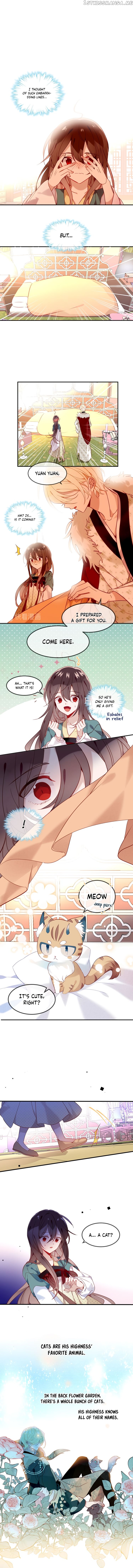 My Phoenix’s on Top chapter 97 - page 2