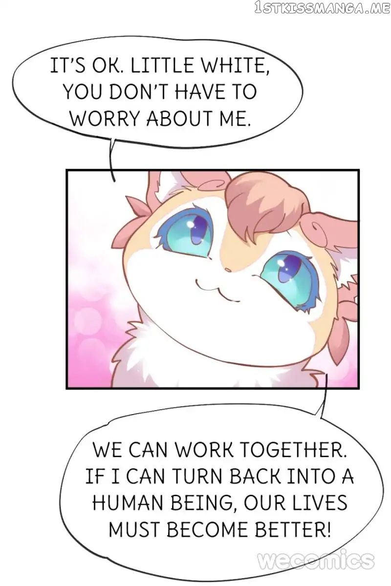 Oh My Little White Dragon chapter 29 - page 1