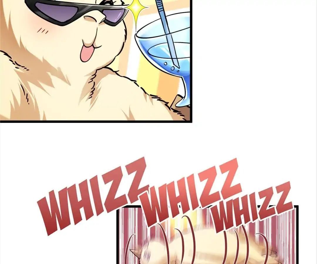 Little Black Book vs Blue Blood Chapter 14 - page 15