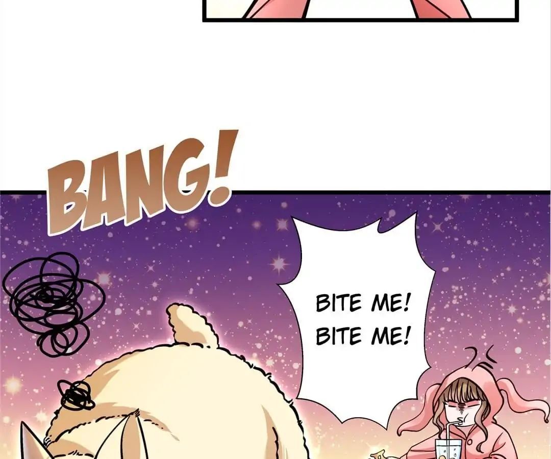 Little Black Book vs Blue Blood Chapter 14 - page 17