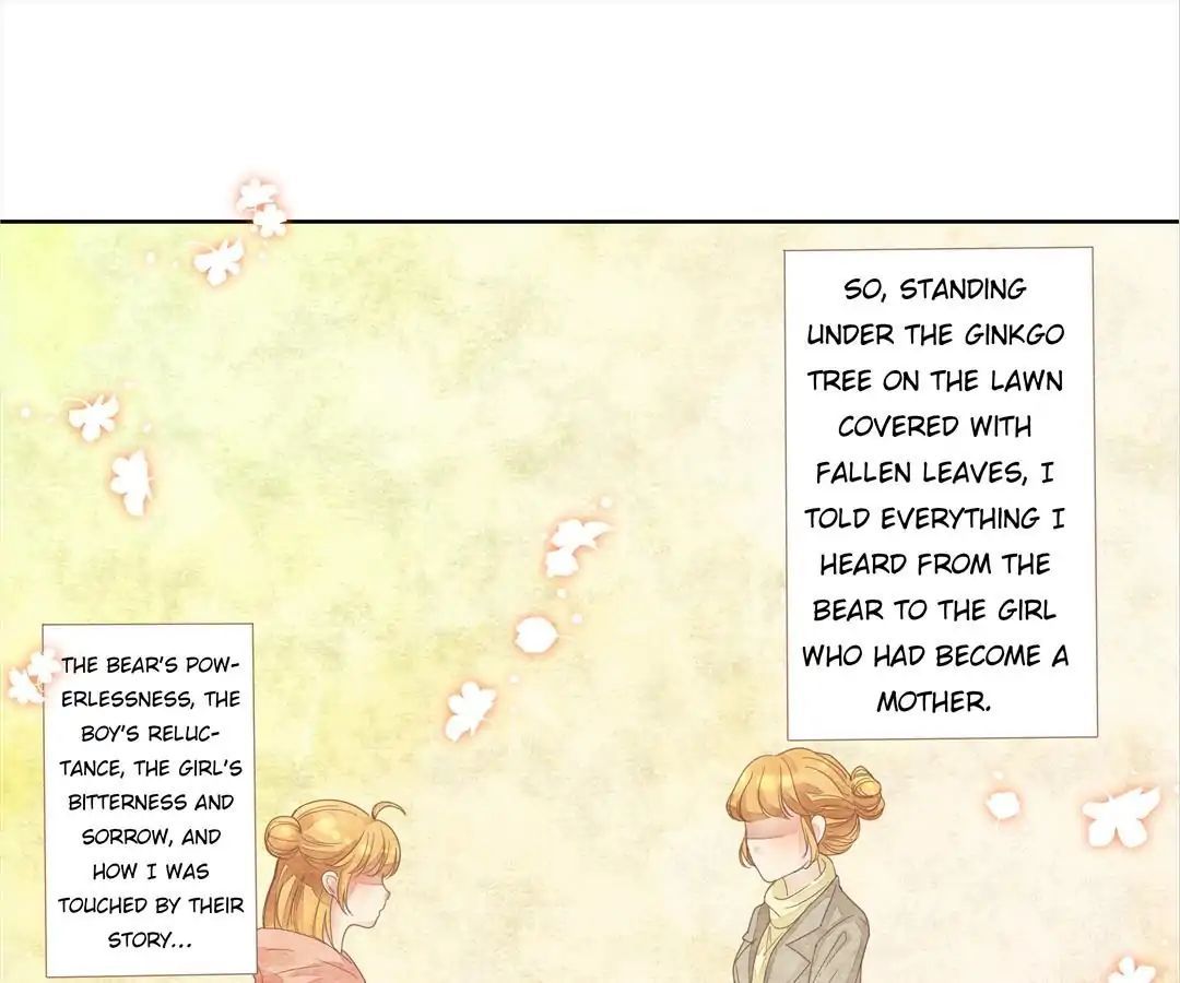 About Teddy Bear Chapter 8 - page 5
