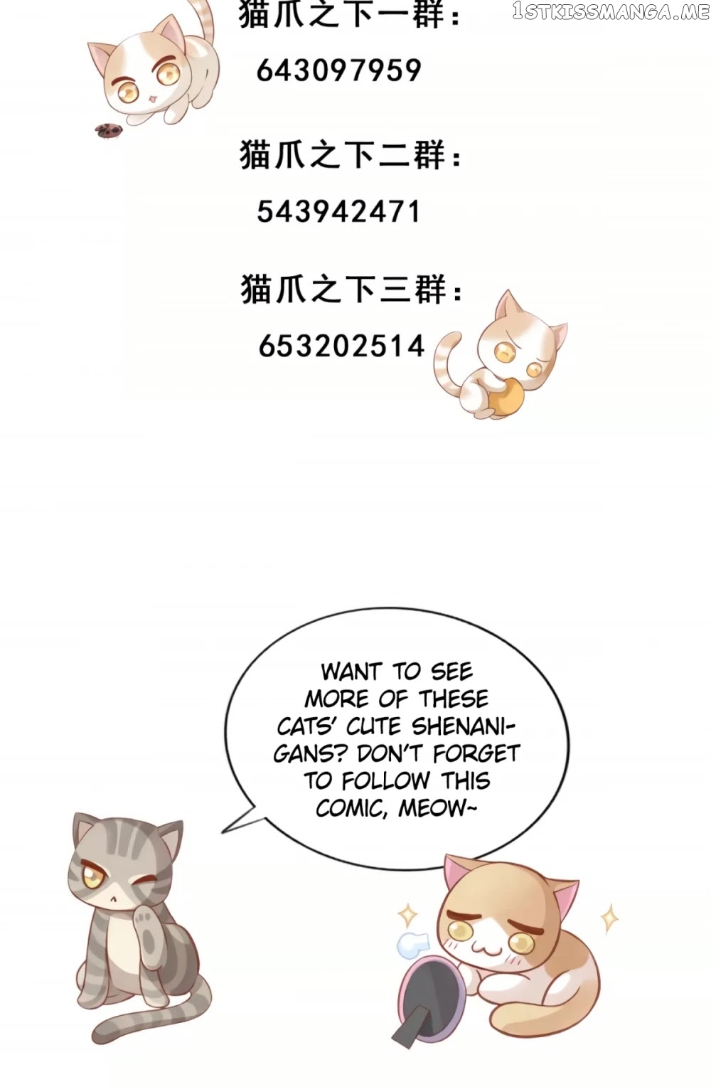 Under The Paws of Cats chapter 10 - page 26