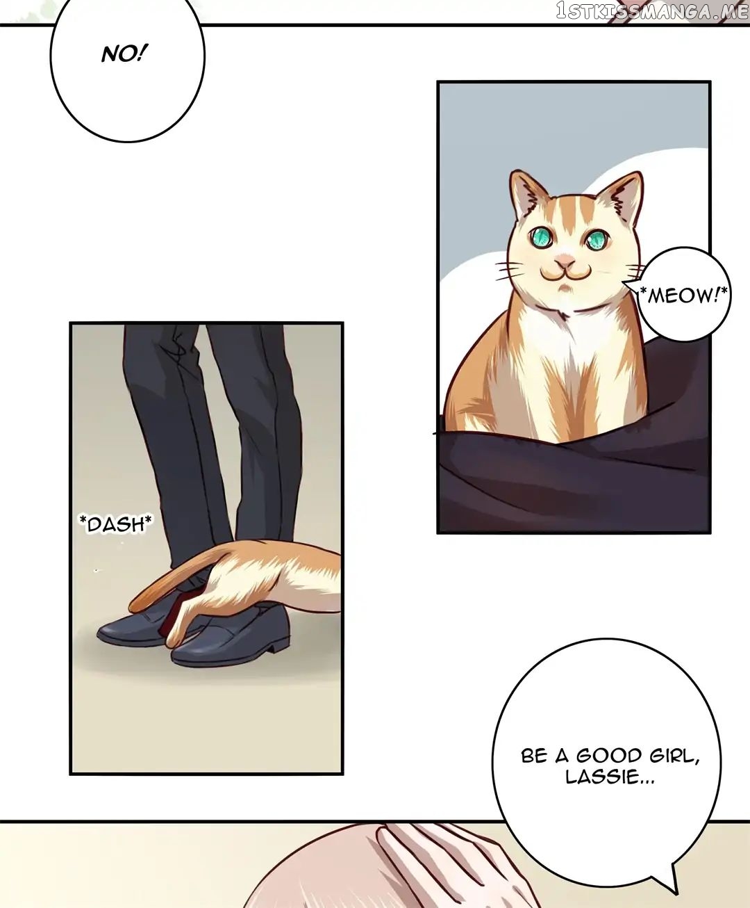Demon’s Sweetheart chapter 6 - page 5