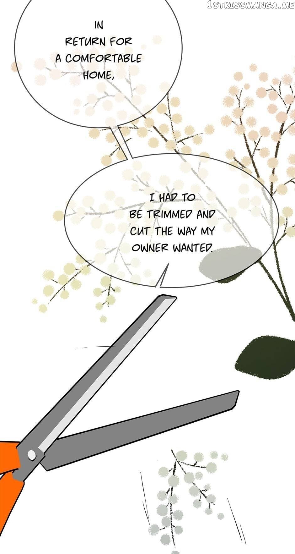 Show Window Couple chapter 63 - page 51