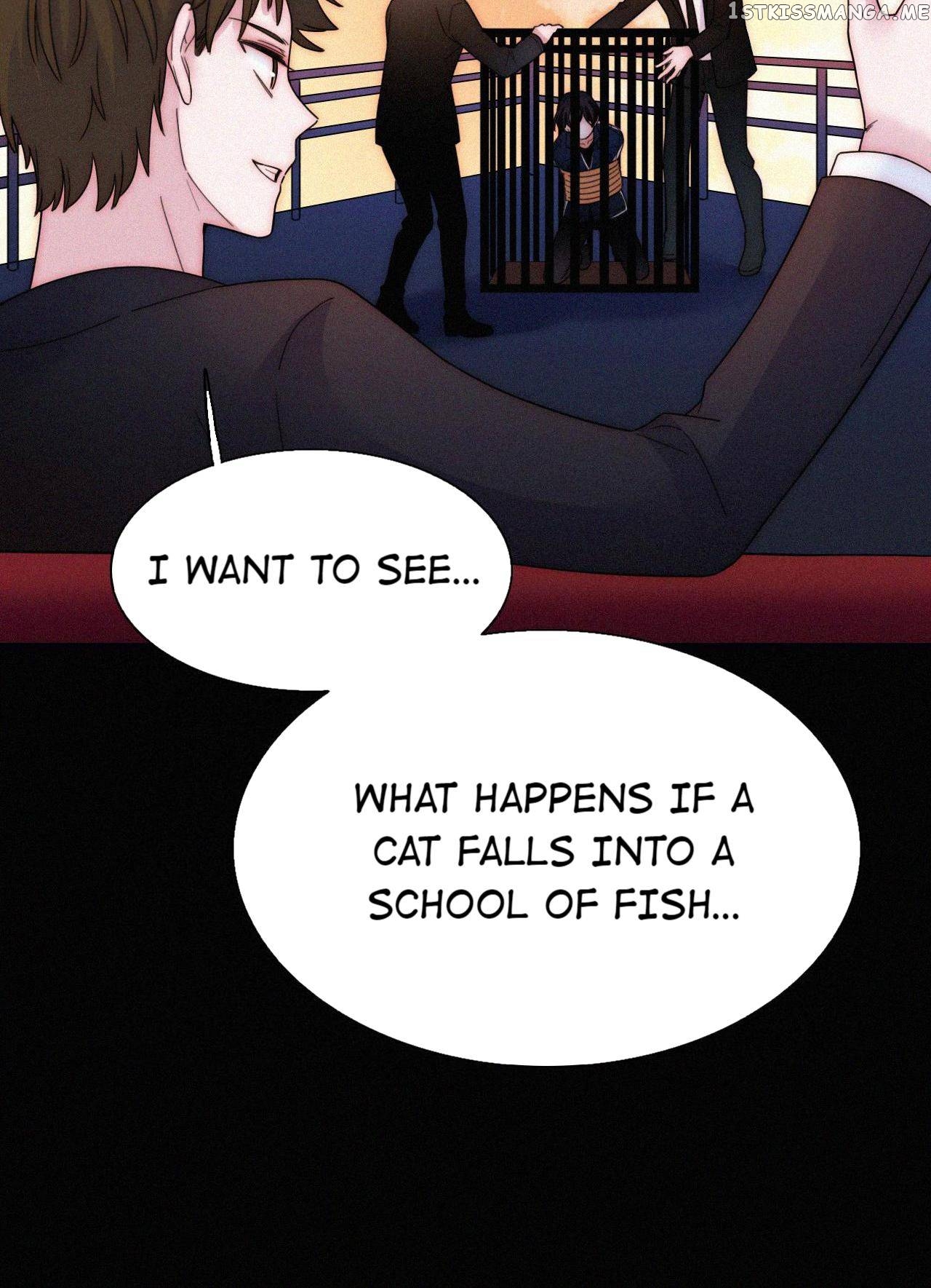 A Cat’s Maze chapter 36 - page 47
