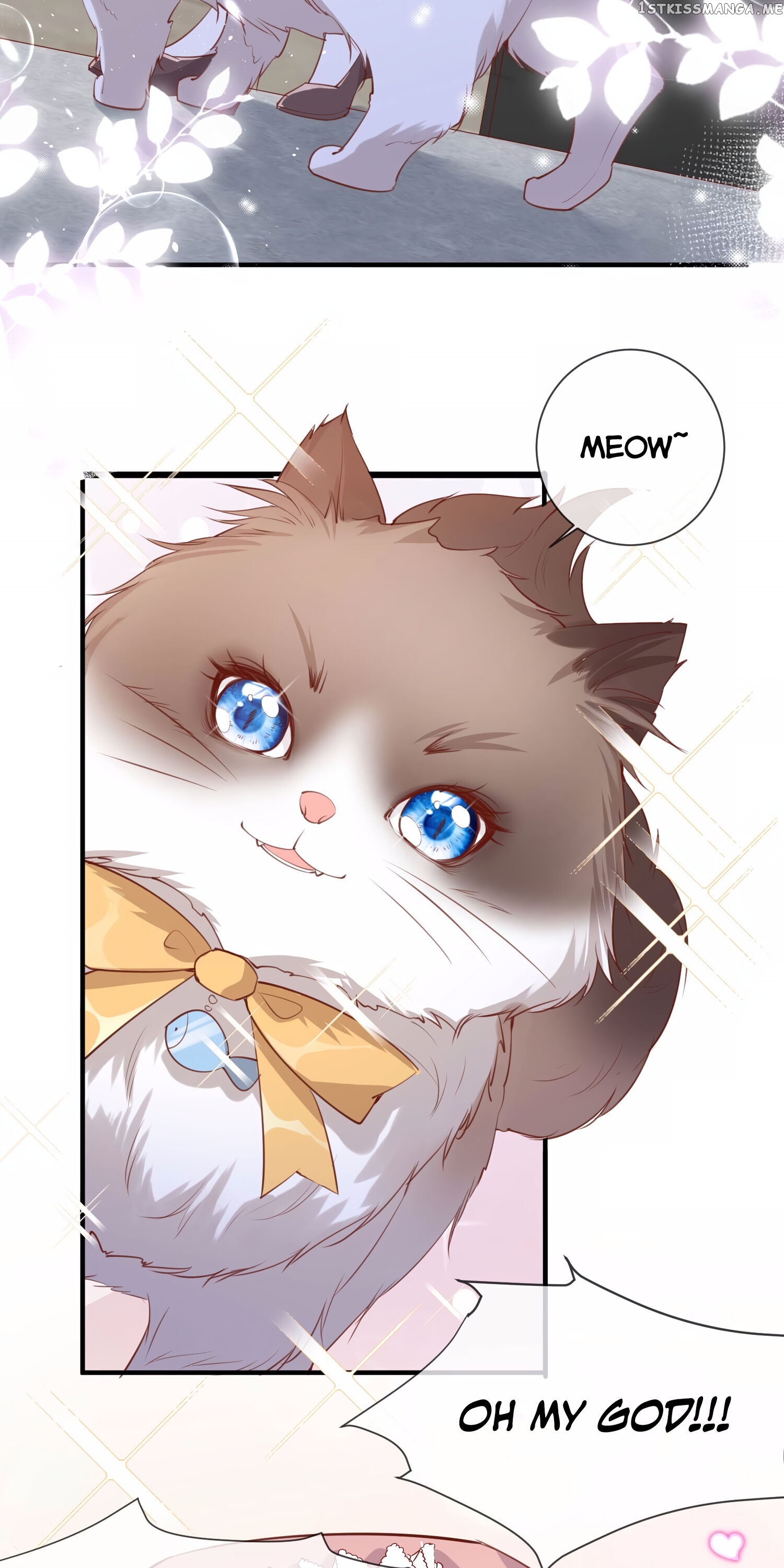 Mr. Lu, Your Wife Is Trending Again! chapter 3 - page 16