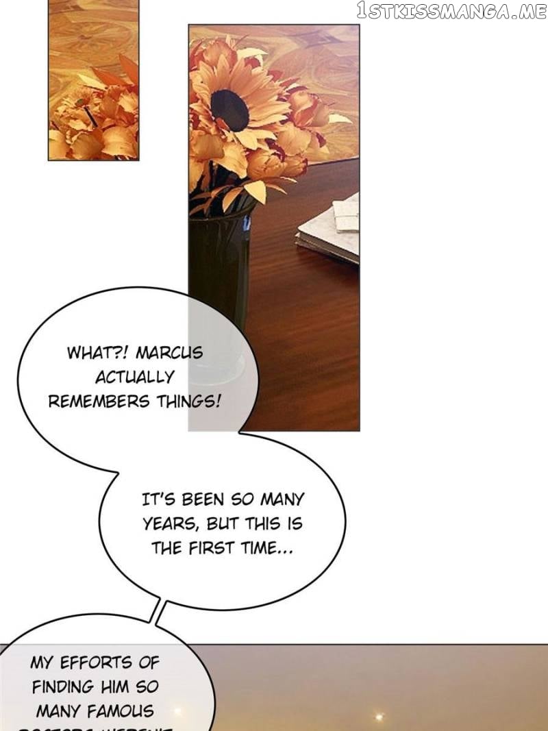 The Mismatched Marriage chapter 54 - page 67