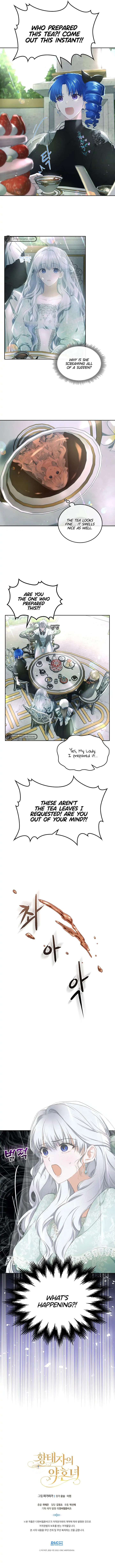 The Crown Prince’s Fiancée Chapter 7 - page 11