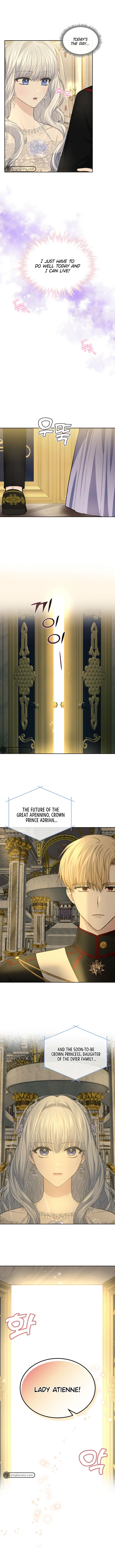 The Crown Prince’s Fiancée Chapter 19 - page 11