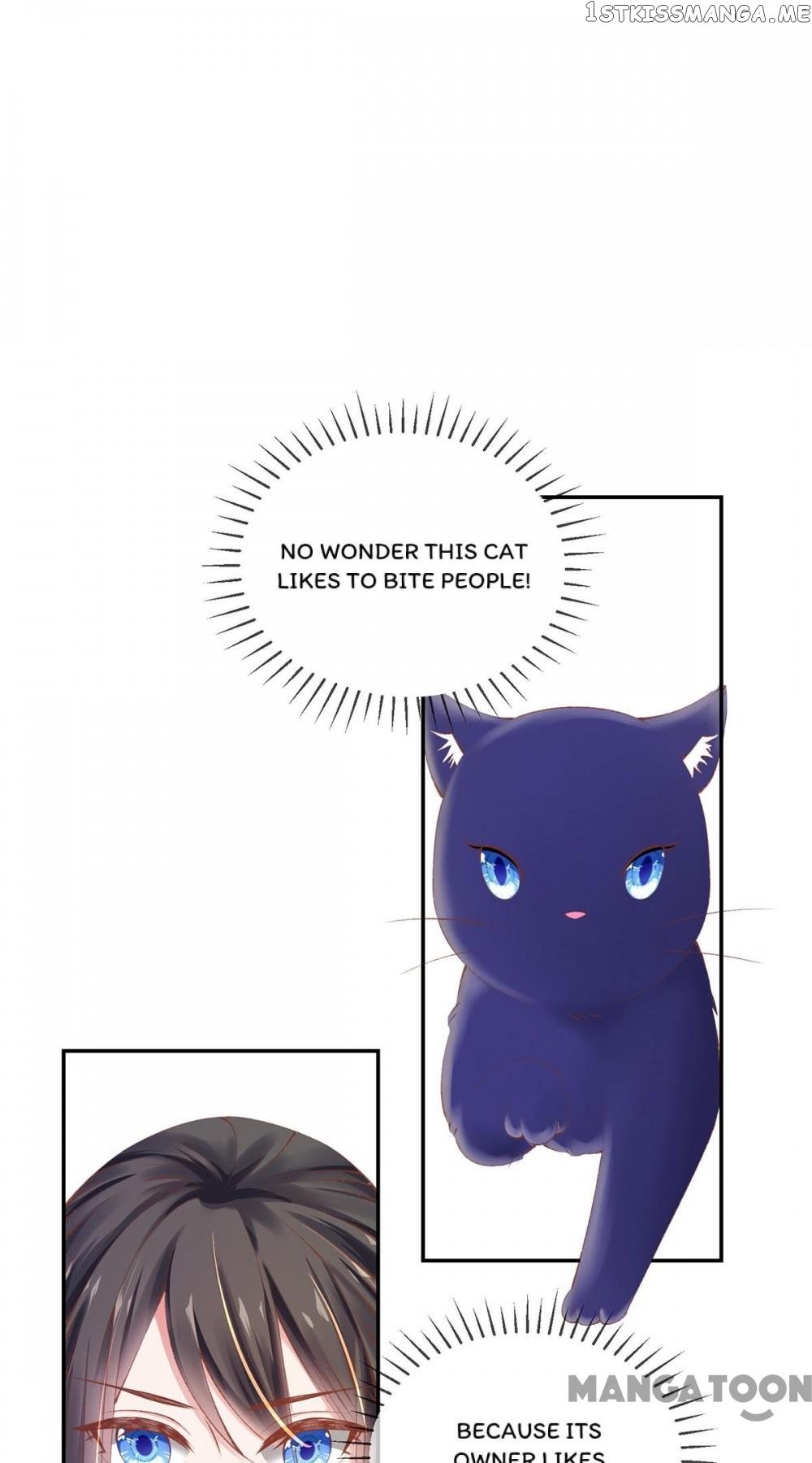 Princess Is A Bloodthirsty Surgeon chapter 16 - page 43