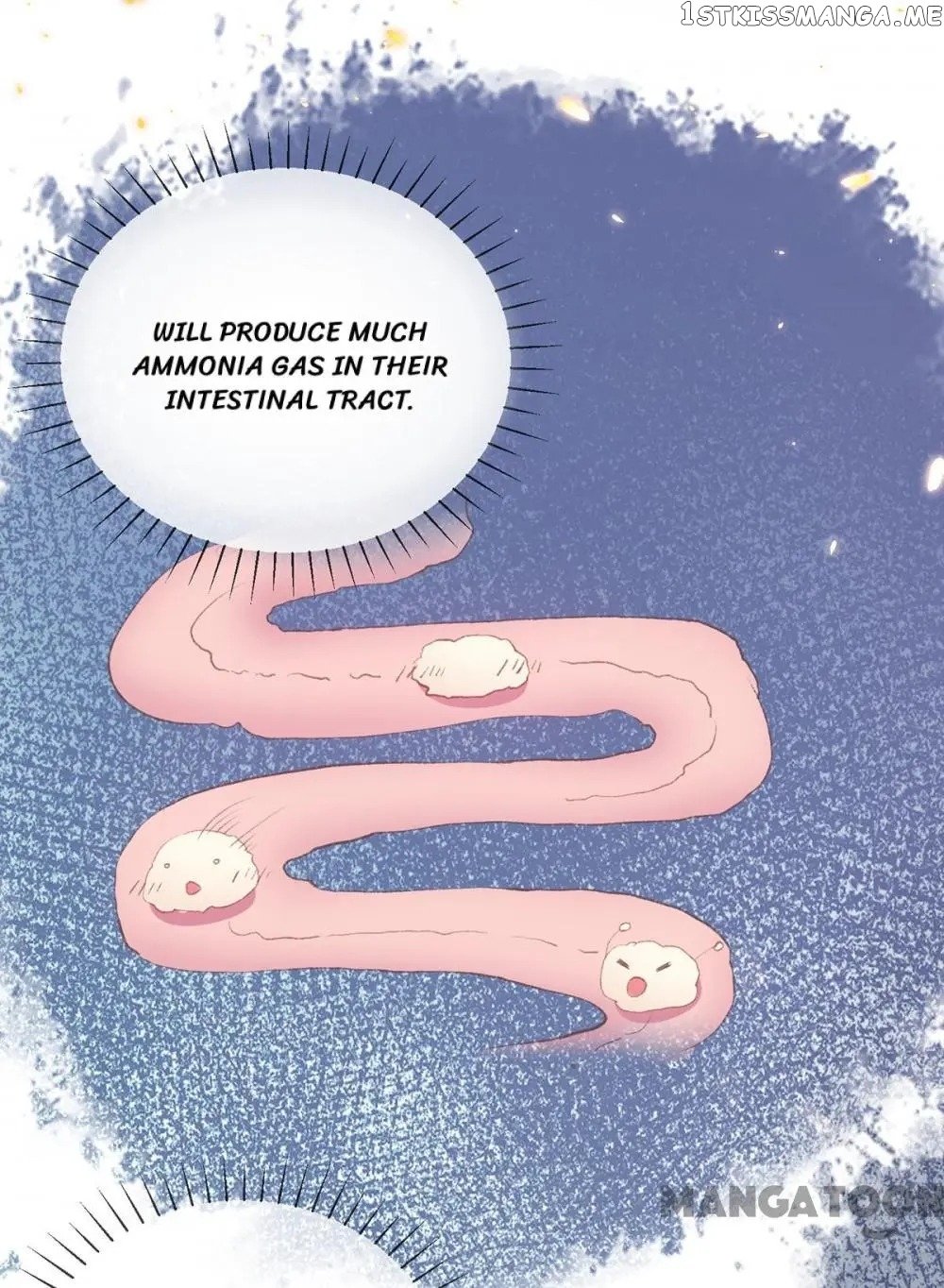 Princess Is A Bloodthirsty Surgeon chapter 49 - page 28