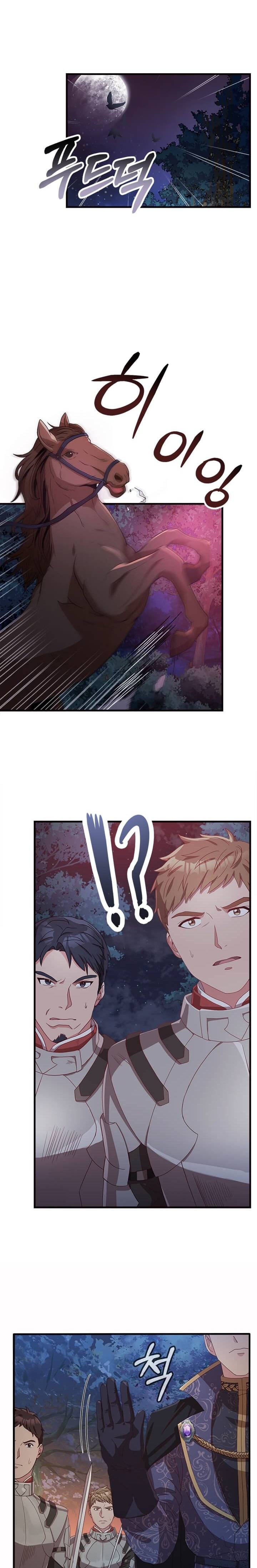 Why The King Needs A Secretary chapter 13 - page 17