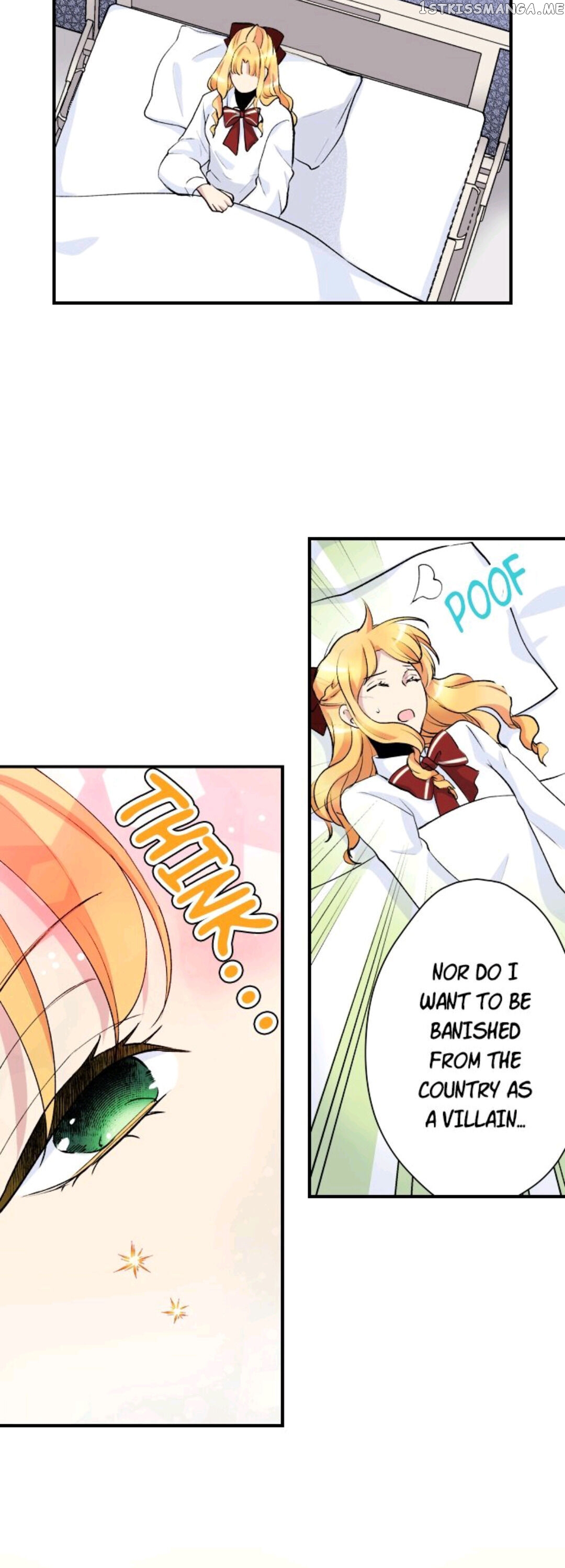 The Love King And His Ornamental Wife chapter 5 - page 3