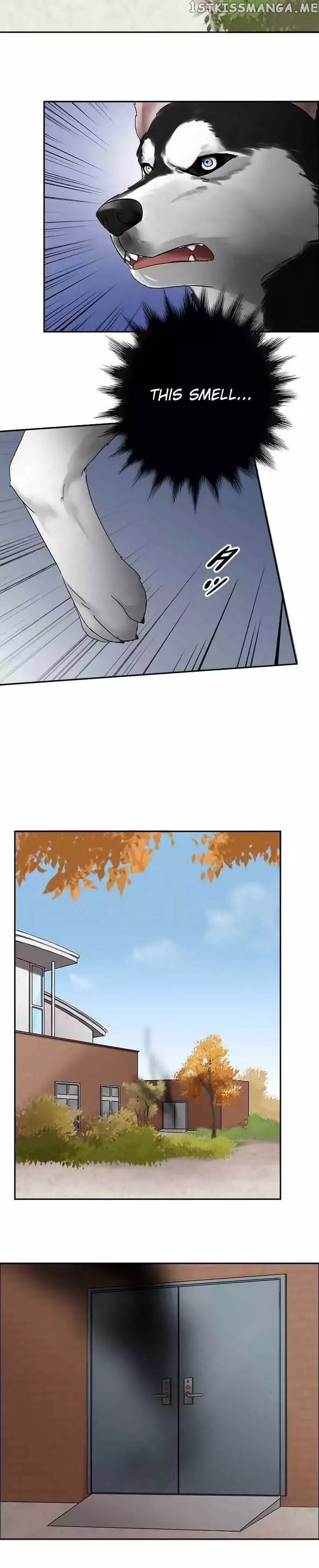 Distancia ~ The Untouchable One ~ chapter 56 - page 5