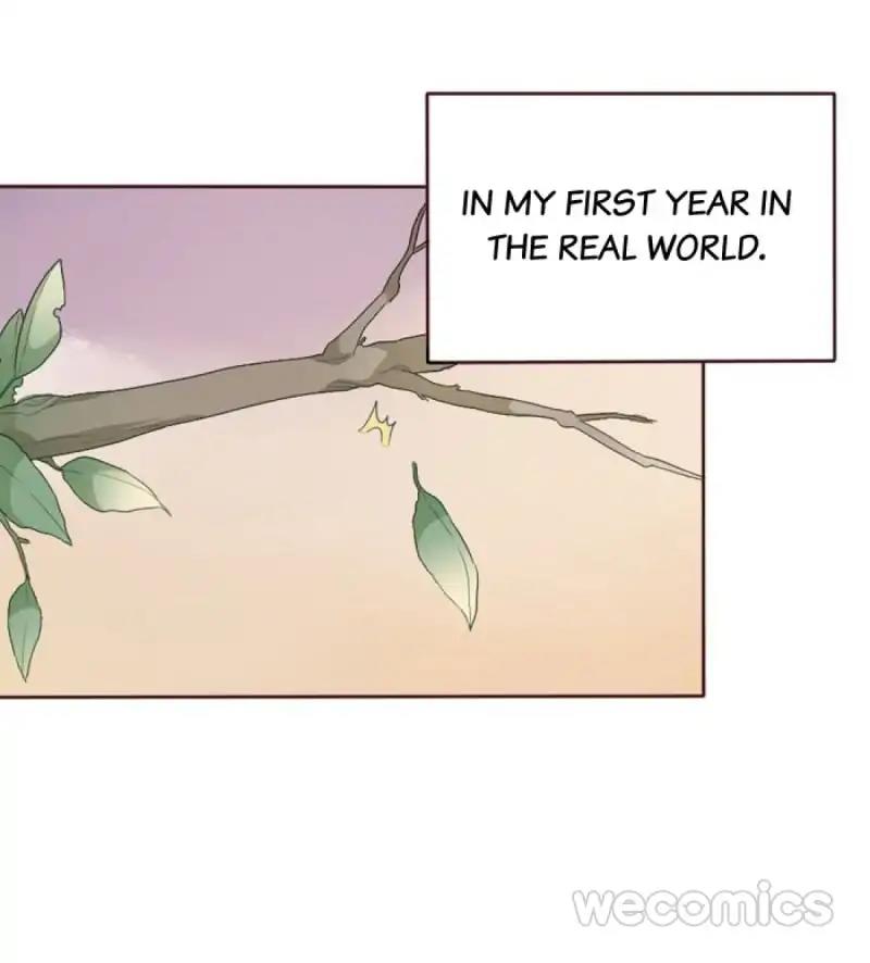 Face Amnesia Girl Chapter 58 - page 32