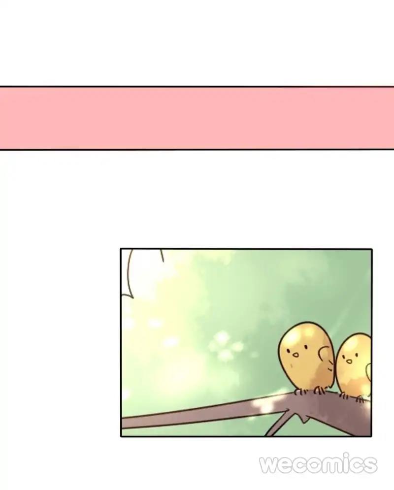 Face Amnesia Girl Chapter 61 - page 12
