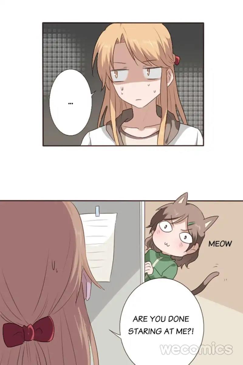 Face Amnesia Girl Chapter 49 - page 4