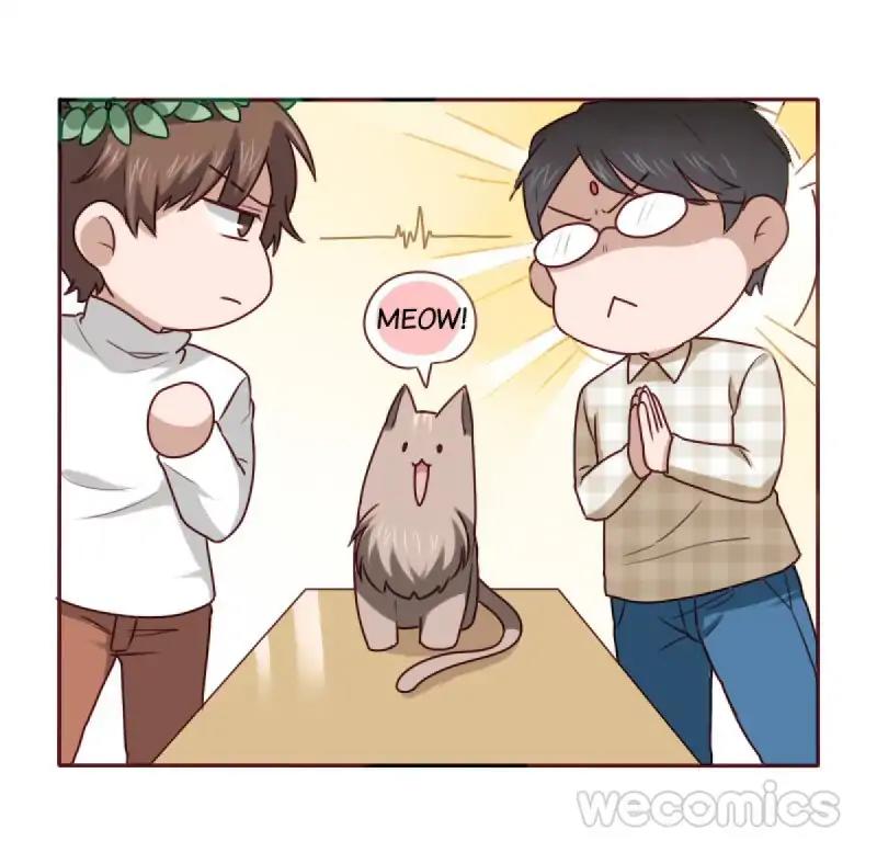 Face Amnesia Girl Chapter 26 - page 19