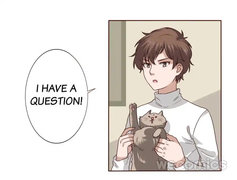 Face Amnesia Girl Chapter 21 - page 2