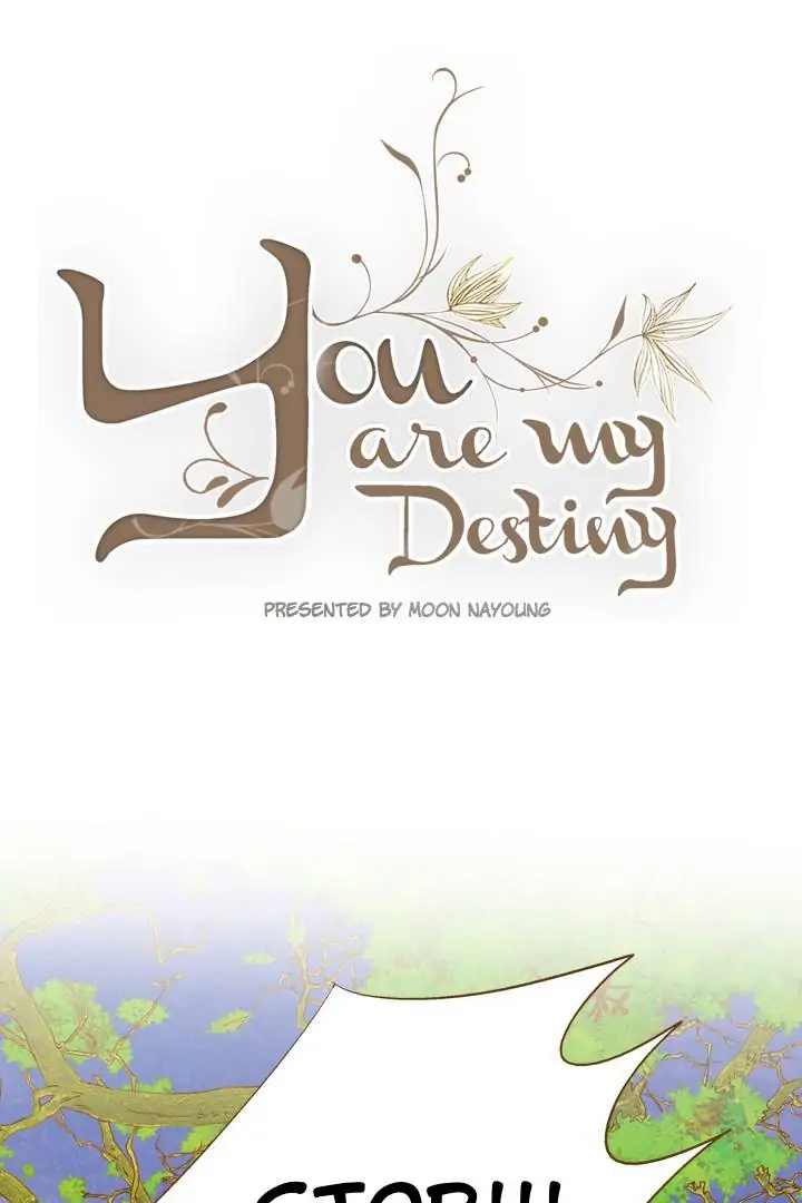 You Are My Destiny ( With You ) Chapter 6 - page 2