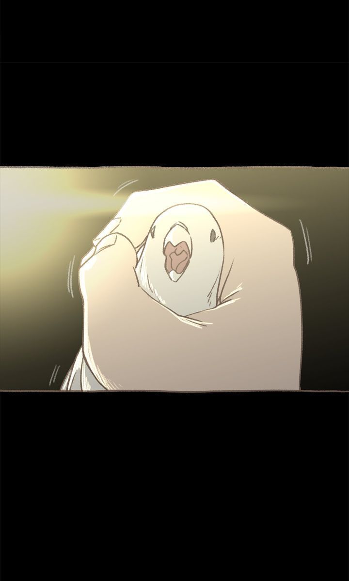 Yeona – Manhwa Chapter 13 - page 39