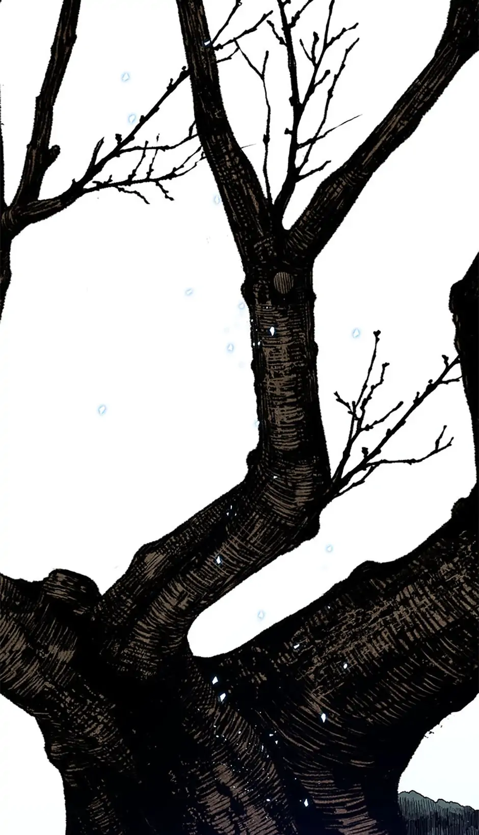 Shadow Garden Chapter 29 - page 43