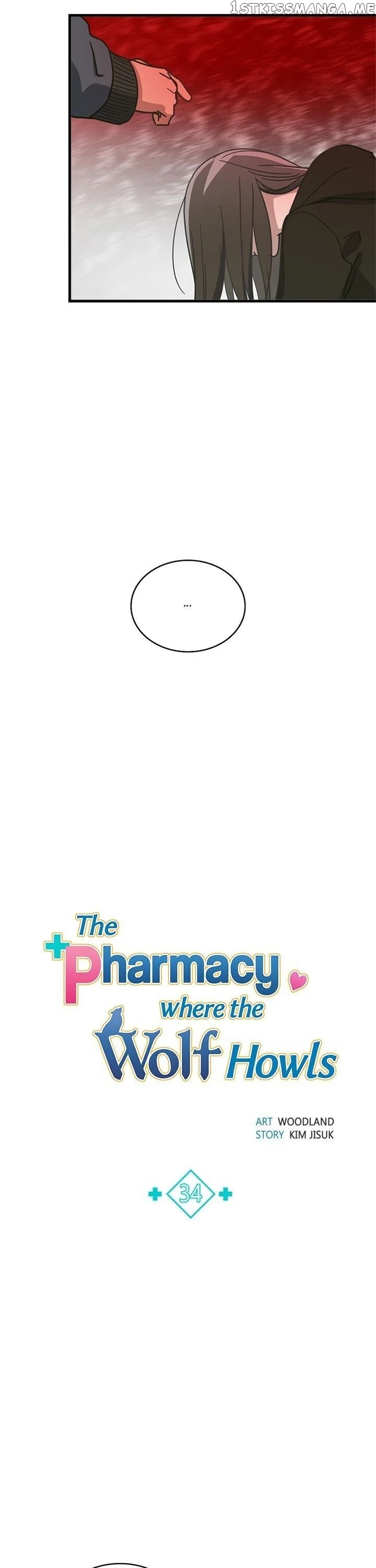 The Pharmacy Where The Wolf Howls chapter 34 - page 12
