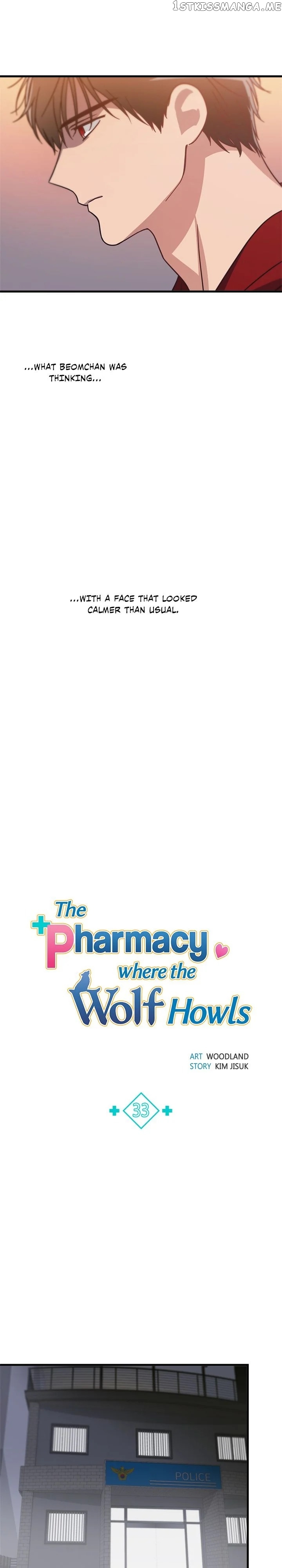 The Pharmacy Where The Wolf Howls chapter 33 - page 7