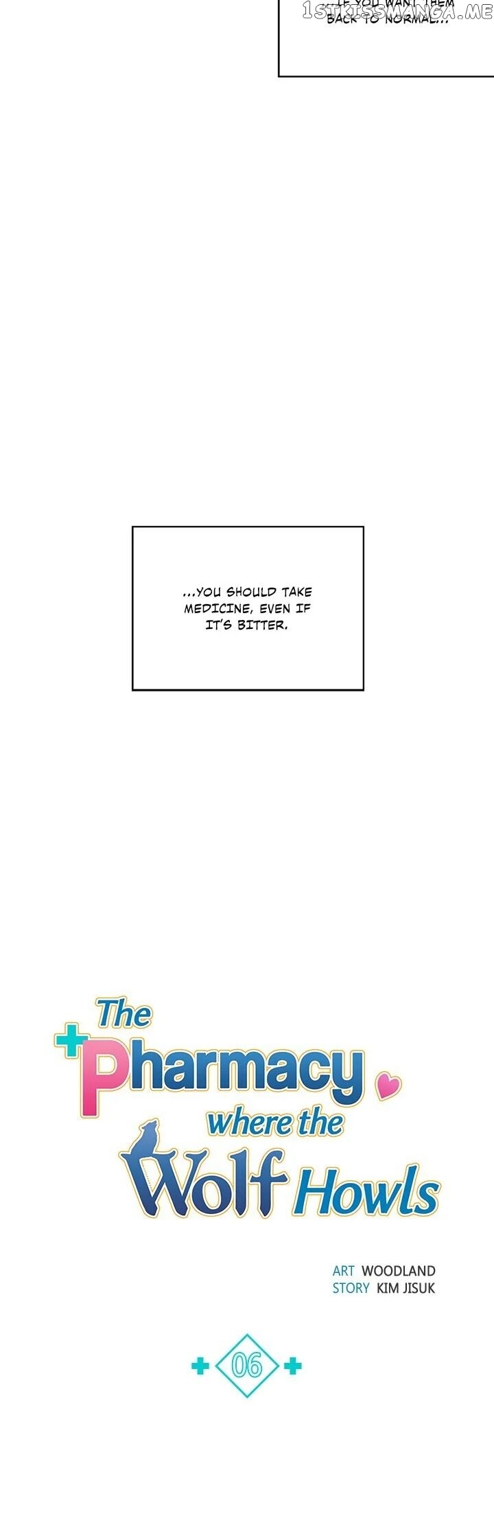 The Pharmacy Where The Wolf Howls chapter 6 - page 9