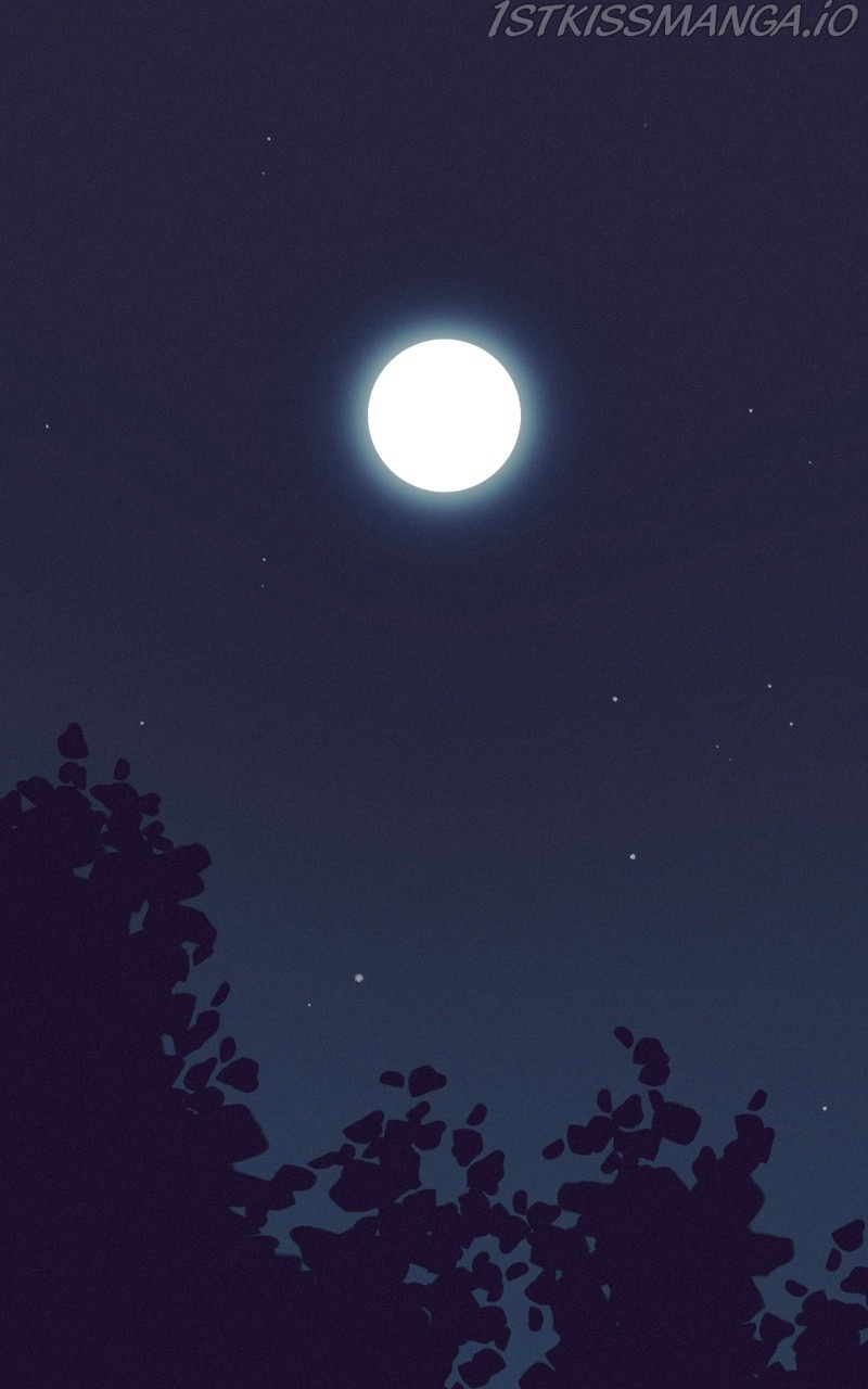 Night Owls & Summer Skies chapter 15 - page 1