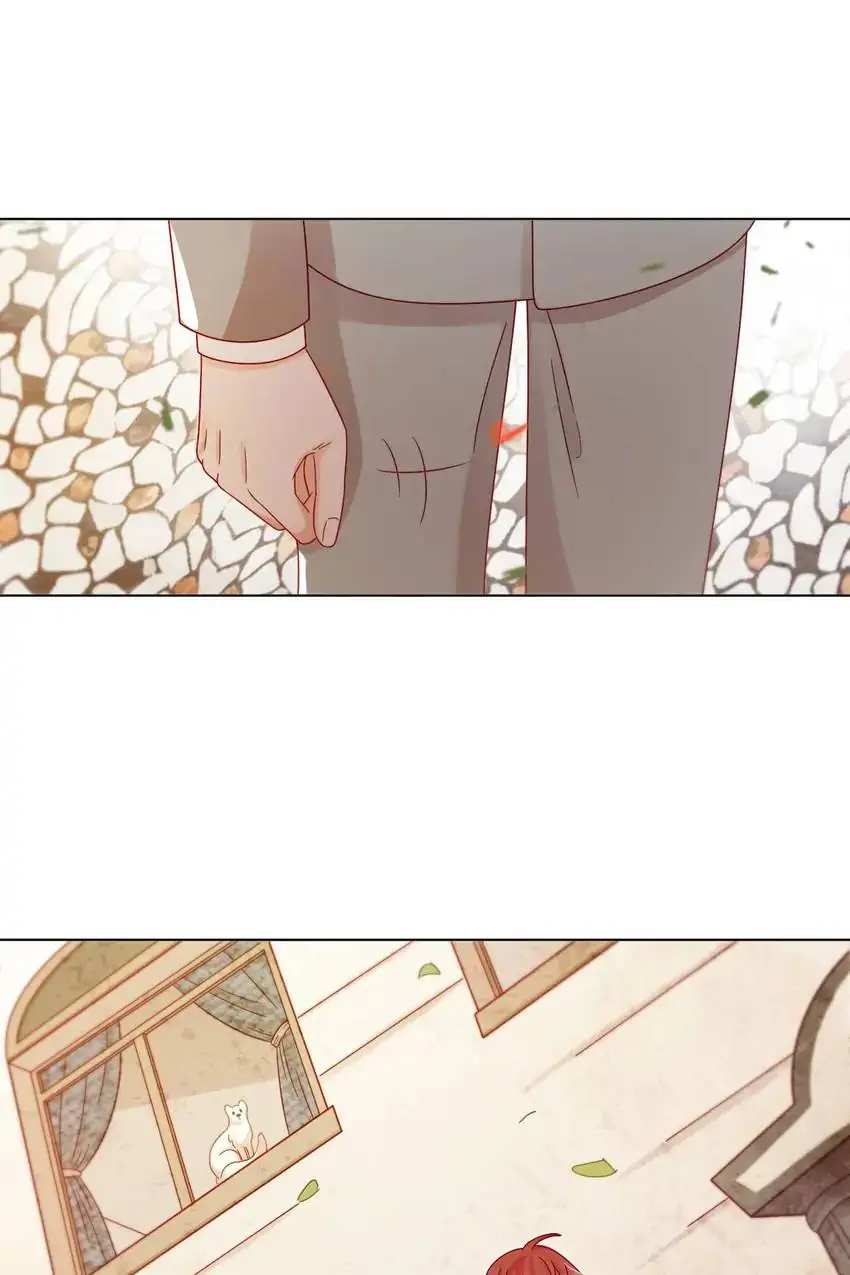 A Song Dwelling In The Clouds: Love Inside The Cage Chapter 34 - page 37