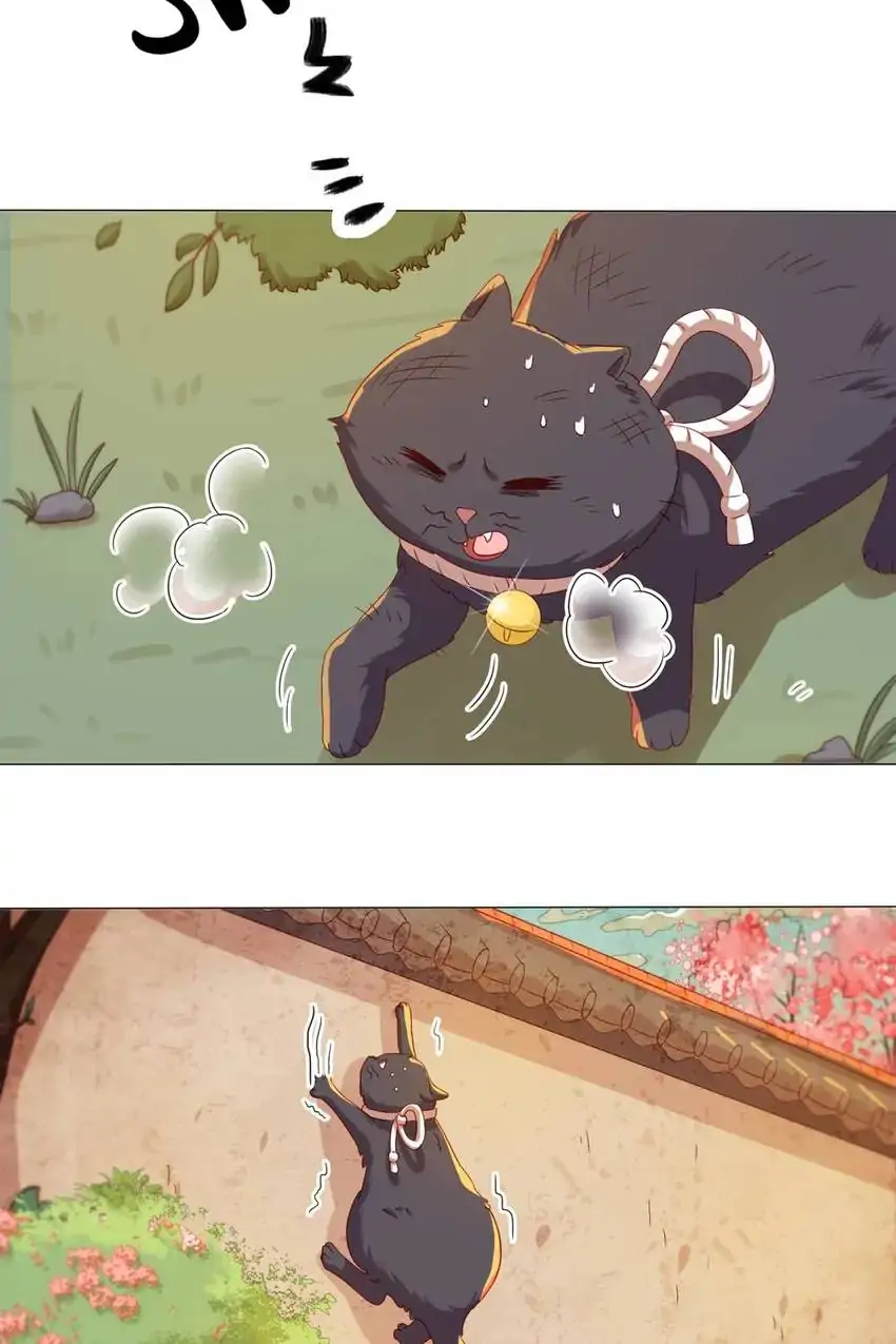 A Song Dwelling In The Clouds: Love Inside The Cage Chapter 41 - page 28