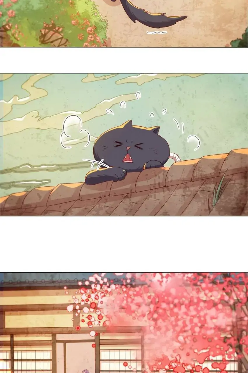 A Song Dwelling In The Clouds: Love Inside The Cage Chapter 41 - page 29