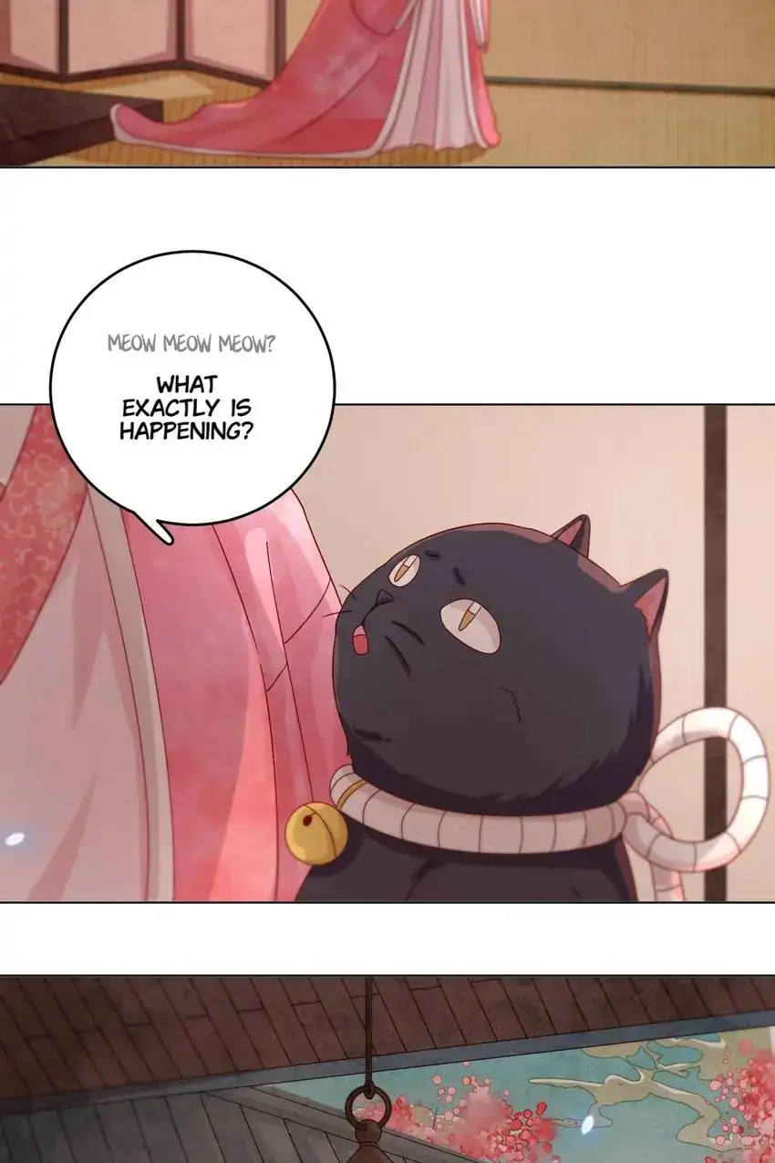 A Song Dwelling In The Clouds: Love Inside The Cage Chapter 50 - page 16