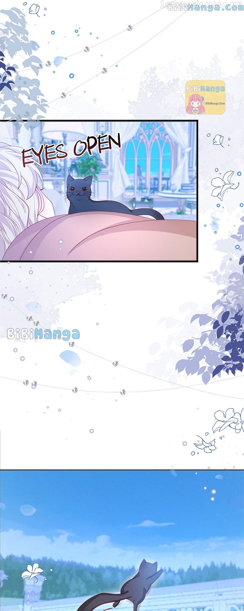 My Beloved Ninita Chapter 51 - page 5