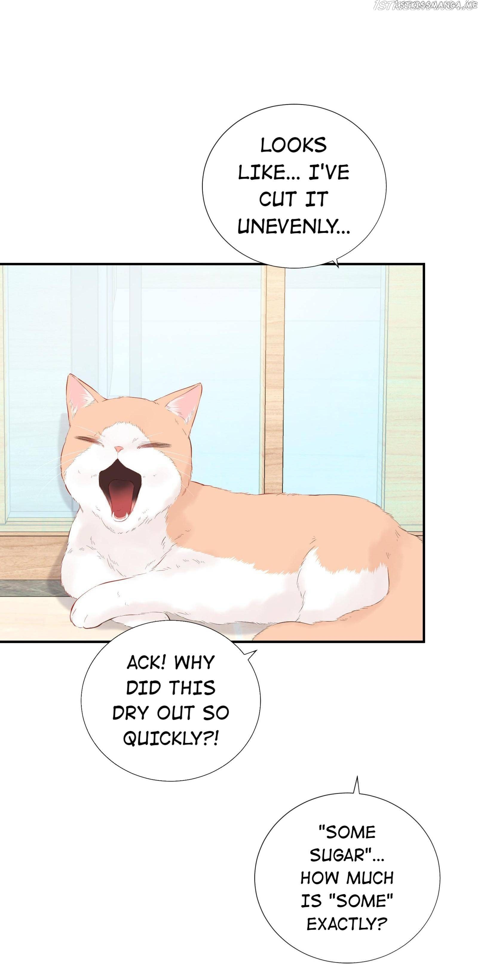 This Contract Romance Must Not Turn Real! chapter 60 - page 5