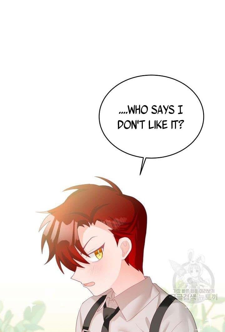The Young Lady Tames the Male Leads chapter 4 - page 28