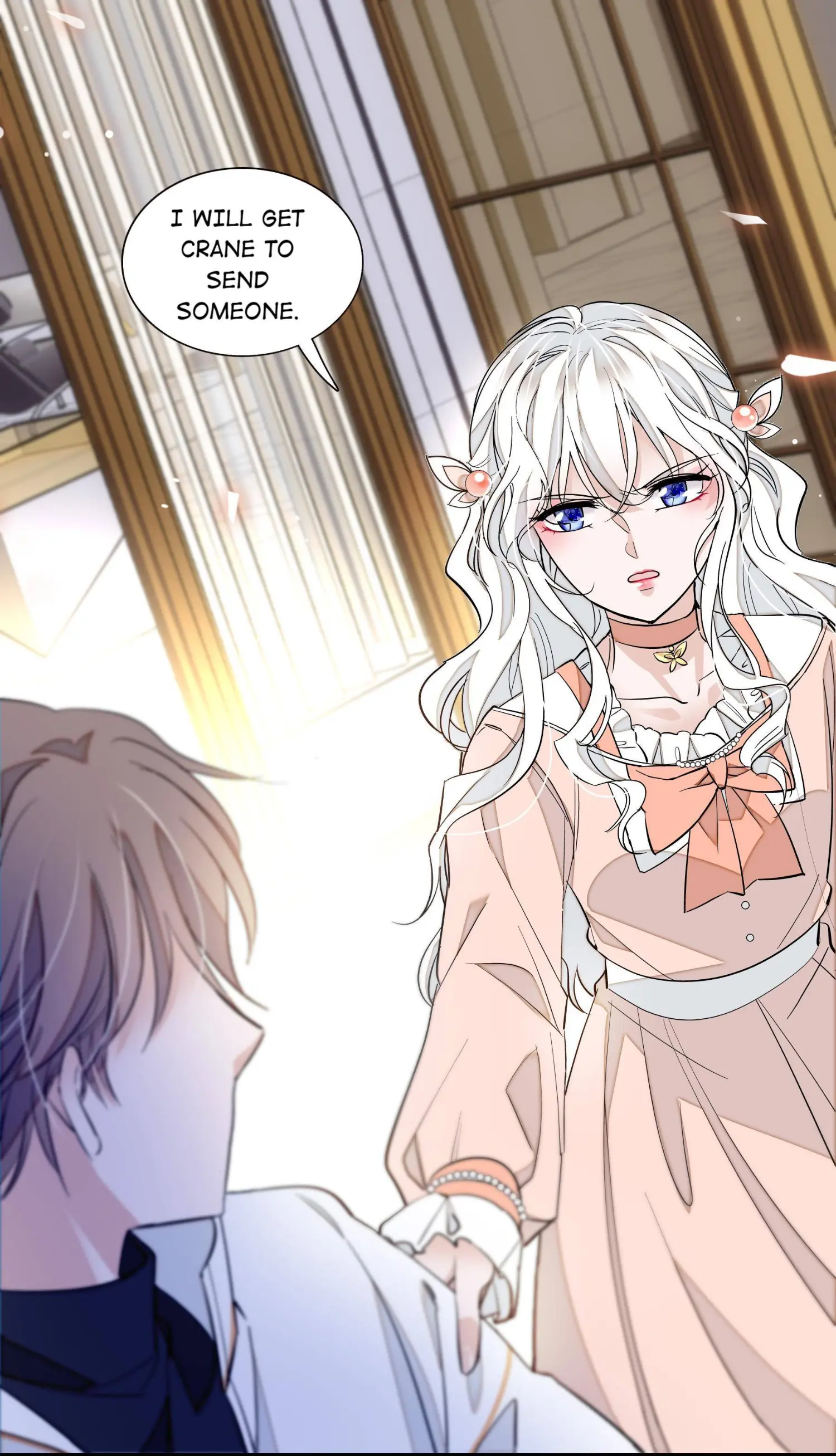 Dragon and Phoenix flip Chapter 29 - page 18