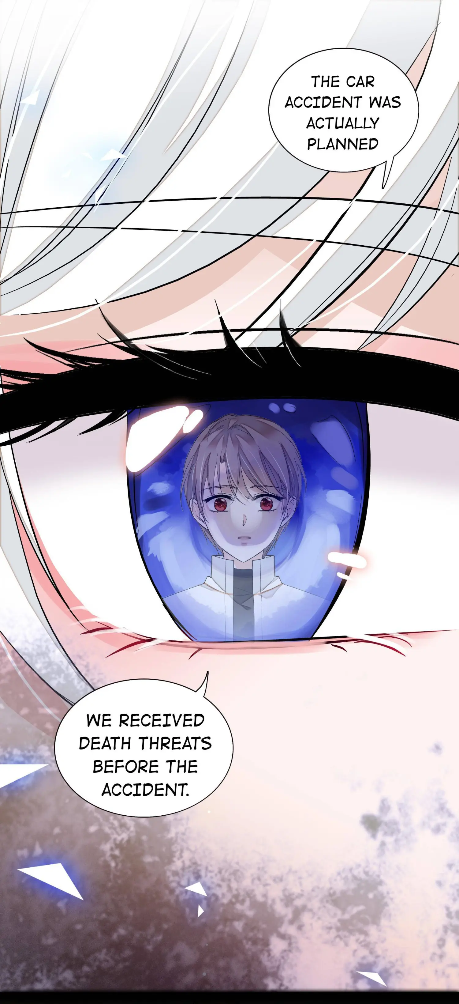 Dragon and Phoenix flip Chapter 29 - page 6