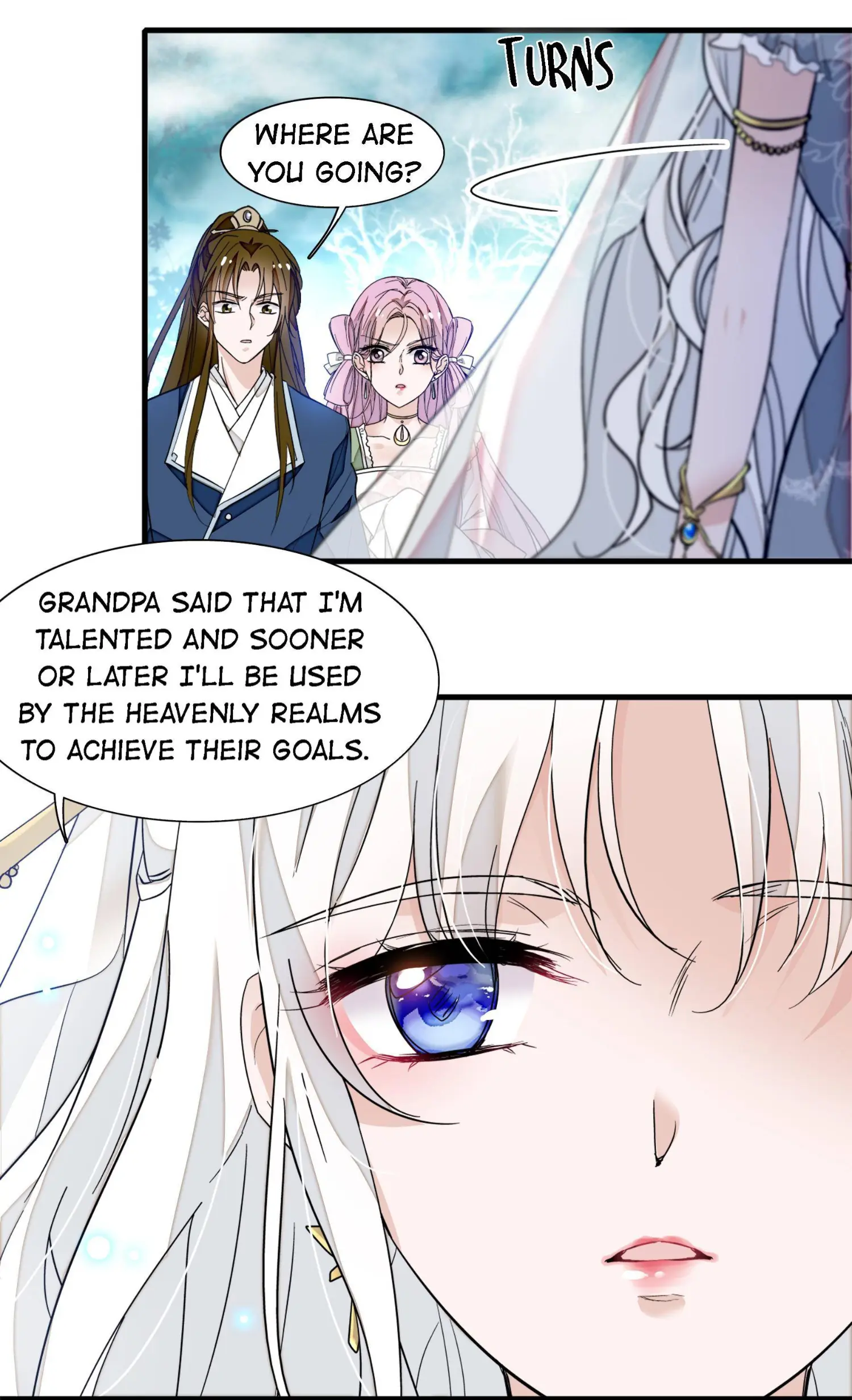 Dragon and Phoenix flip Chapter 30 - page 29