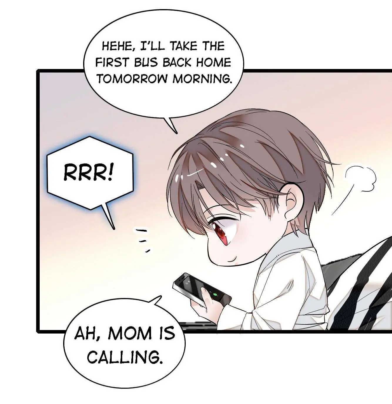 Dragon and Phoenix flip Chapter 30.1 - page 11