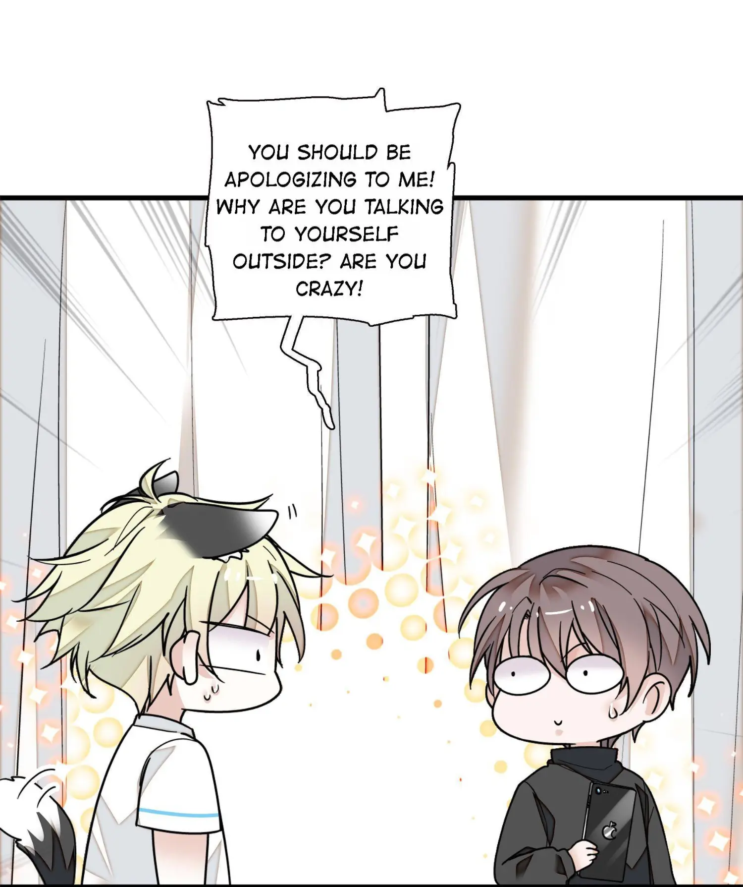 Dragon and Phoenix flip Chapter 27 - page 27
