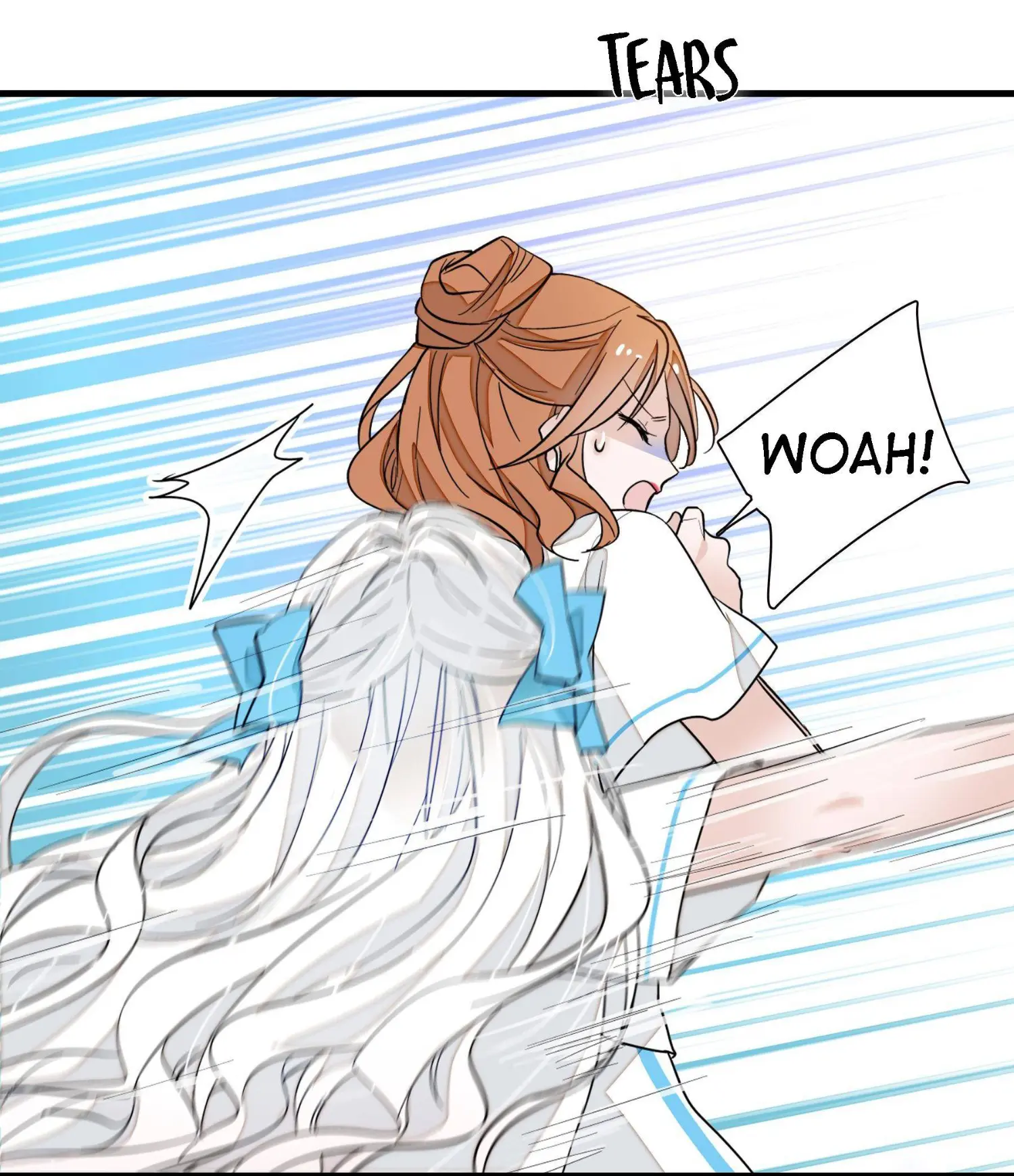 Dragon and Phoenix flip Chapter 28 - page 14