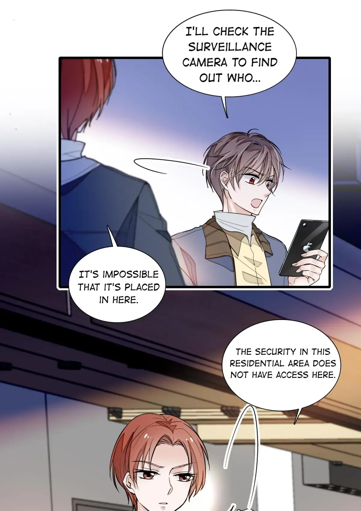Dragon and Phoenix flip Chapter 33 - page 14
